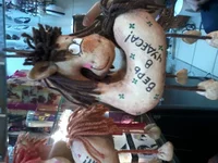 20131120_120710.webp