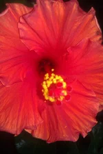 IMAG0820.webp