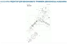 5001.webp