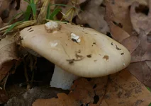 IMGP9928_1100.webp