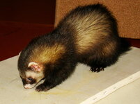DSC08791.jpg