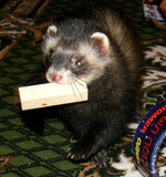 DSC08798.jpg