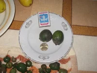  урожай 004_640x480.webp