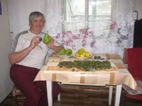  урожай 003_640x480.webp