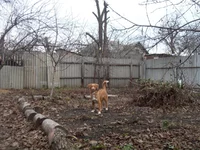 SDC10110.webp