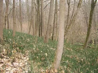 IMG_3367.webp