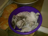 24112013871.webp