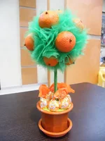 DSCF5750.webp
