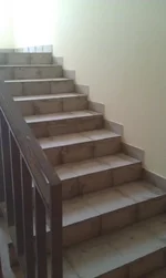IMAG0955.webp