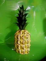 DSCF671011.webp