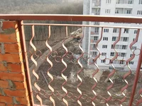 IMG_5806.webp