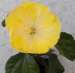  023.webp