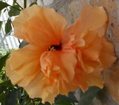 . 025.webp
