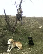 Photo-0103.webp