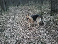 0008.webp