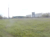 P1220863-.webp