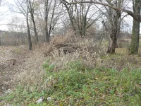 P1220866-.webp