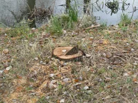 P12300020.webp