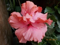  фото n 087.webp