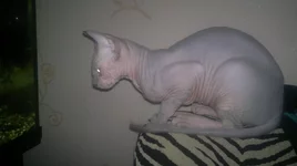 201120131267.webp