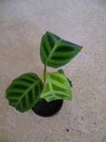P1030303_resize.webp