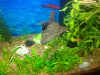 0469.webp