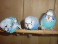 PC010057.webp
