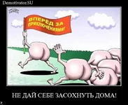 1267708548.webp