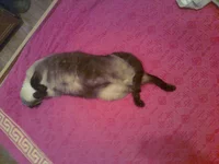 0094.webp