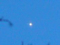 P6133588.webp