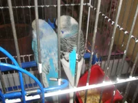 PC010067.webp