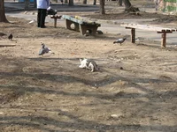 IMG_0571.webp