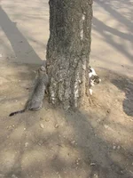 IMG_0594.webp