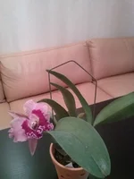 CAM00528.jpg