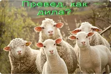 111ОВВВВВВ.webp