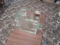 2013-02-02 17.07.56.webp