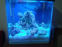 2013-11-07 22.21.20.webp