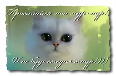 uploadfromtaptalk1386226161302.webp