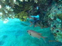 PB272630.webp
