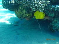 PB272634.webp