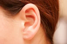 inner-ear-photo.webp