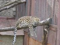IMG_1734.webp