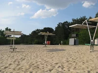 IMG_7247.jpg