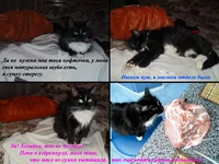  имени-2.webp