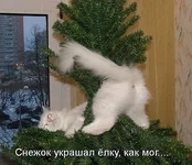 K5ISXJUODMs.webp