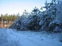 IMG_3499.webp
