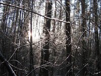 IMG_3489.JPG