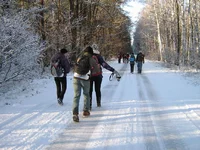 IMG_3497.webp