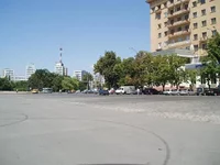 P7060007.webp