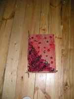 P7062408.webp